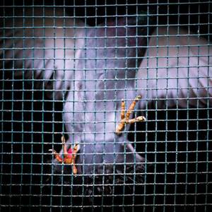 美女太腿床上怕啪啪啪
